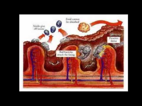 how to take diatomaceous earth