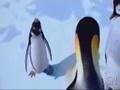 Happy Feet Kurdish Penguin Comedy Music  Dance Kürtce Halay
