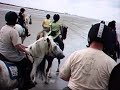 Galops sur la palge Galops sur la palge