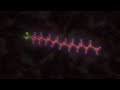 Lipids.m4v Lipids.m4v