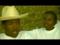 Ny haizim-pito manarona