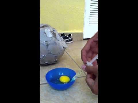 how to repair punctured footballs