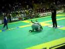 campeonato mundial bjj o5 rio janeiro azul herminio