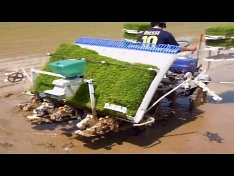 planting - Check out our playlists for hundreds more Japan videos!
