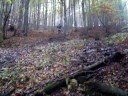 Ako Marko vybrnkal - Ko?ick� Bel� smer Lajo?ka