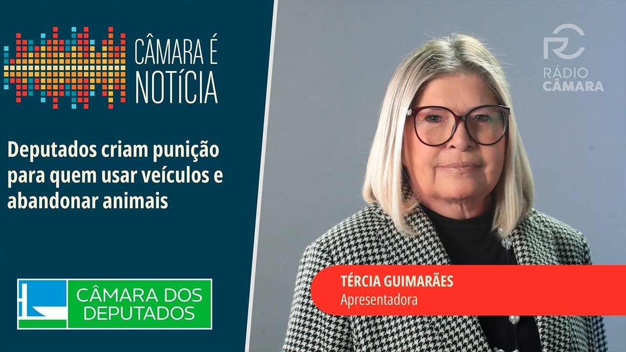 Câmara é Noticia - 13/08/2026