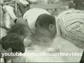 Приколы студентов геофака БГУ