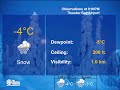 TWN Local Forecast Emulation