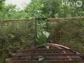 Ivan Spaller: Central Texas Gardener, KLRU