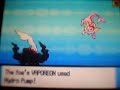 Pokemon Diamond/Pearl WiFi battle 4: Conmon (hack battle )