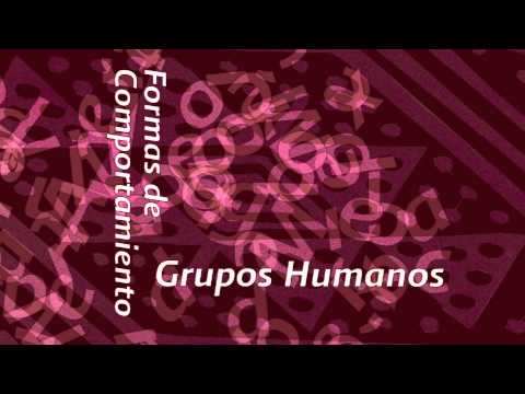 imagen vídeo