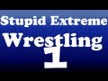 videos de Stupid Extreme Wrestling(SEW)