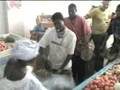 Voluntourism Adventures in Senegal with HELP Travel