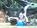 shmoo-attacks.html