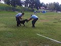 Gahndi doing bite work