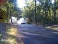 commodore burnout
