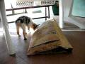 diwall dans le sac !!