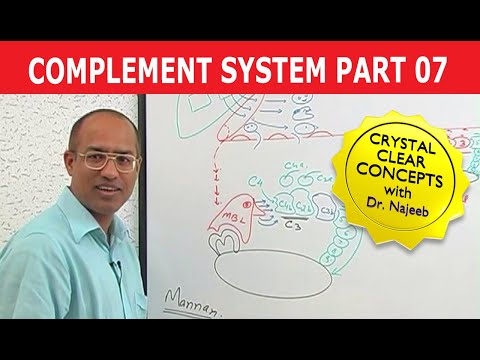 Complement System - Immunology - Part 7/18