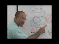 USMLE Step 1 - Immunology Lecture - Complement System 7/18