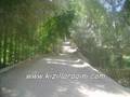 k�z�llara�ini k�y� fotovideo