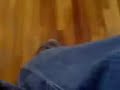 la tapatia upaep