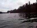 RC boat X-D Sweden