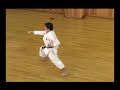 Kata Heian Shodan