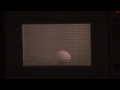 Microwave Party - Part 2 (Egg)