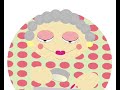 mystory.html