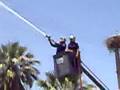 algerie el harike