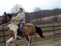 GALLOPING BAREBACK! GALLOPING BAREBACK!