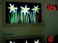 CPT LOCAL DIMMING FSC LCD