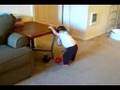 videos de Jayden : Soccer - 080901