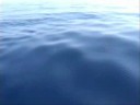 September 2008 Boat Based Observations
