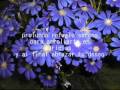 videos de maria video.wmv