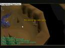 blue drag hunting for noobs