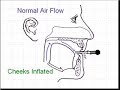 Circular Breathing 1b, by Terry B. Ewell Circular Breathing 1b, by Terry B. Ewell