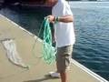 NTZ twelving a cast net