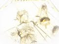 Metallica with added bass--Eye of the Beholder