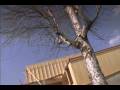 videos de HolzBuild - BBS panel system