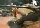 arena neza