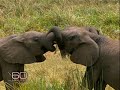 Preview: The Great Migration