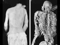 human oddities: side show acts