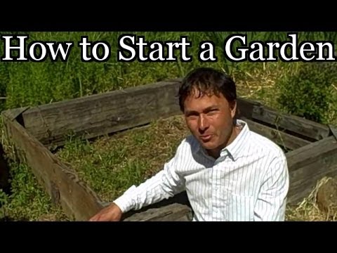 how to start a vegetable patch