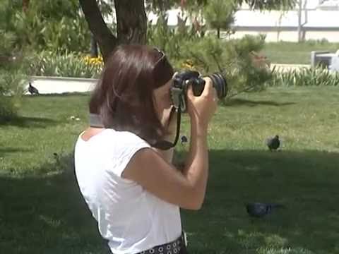 Просмотр видео