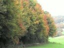 The Gravity Of Fall