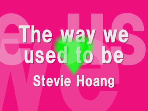 Stevie Hoang - The way we used to be(New)