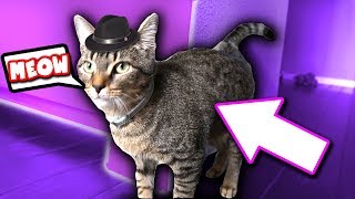 Dude The Cat Roblox