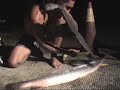 Juggers Part 10 (How To Skin A Gar Fish) Juggers Part 10 (How To Skin A Gar Fish)