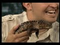 DEMI LOVATO Interview Jimmy Fallon Part 2